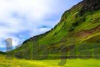 开云体育备用网站下载-明确的娱乐选择，开云体育备用网站下载与您的精彩瞬间！