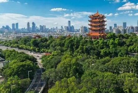 足球比分直播一足球-足球比分直播，连接绿茵激情与全球球迷的数字桥梁